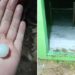 Depois de tempestade com gelo do tamanho de bolas de pingue-pongue, RS ainda tem risco de queda de granizo
